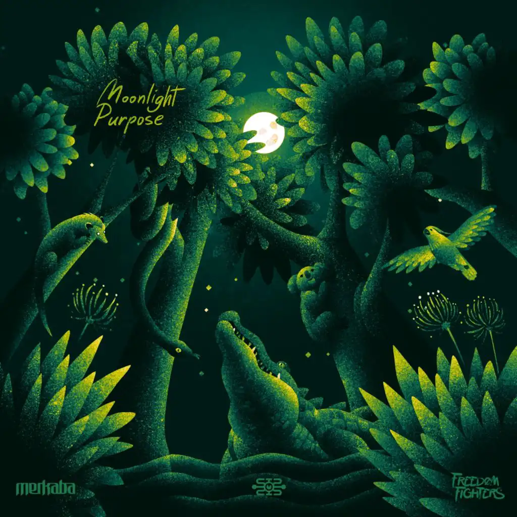 Freedom Fighters & Merkaba