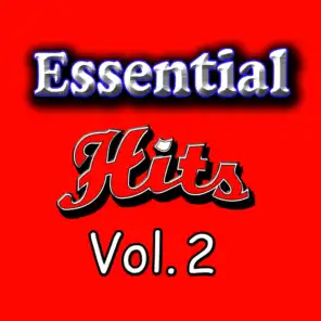 The Essential Hits, Vol. 2