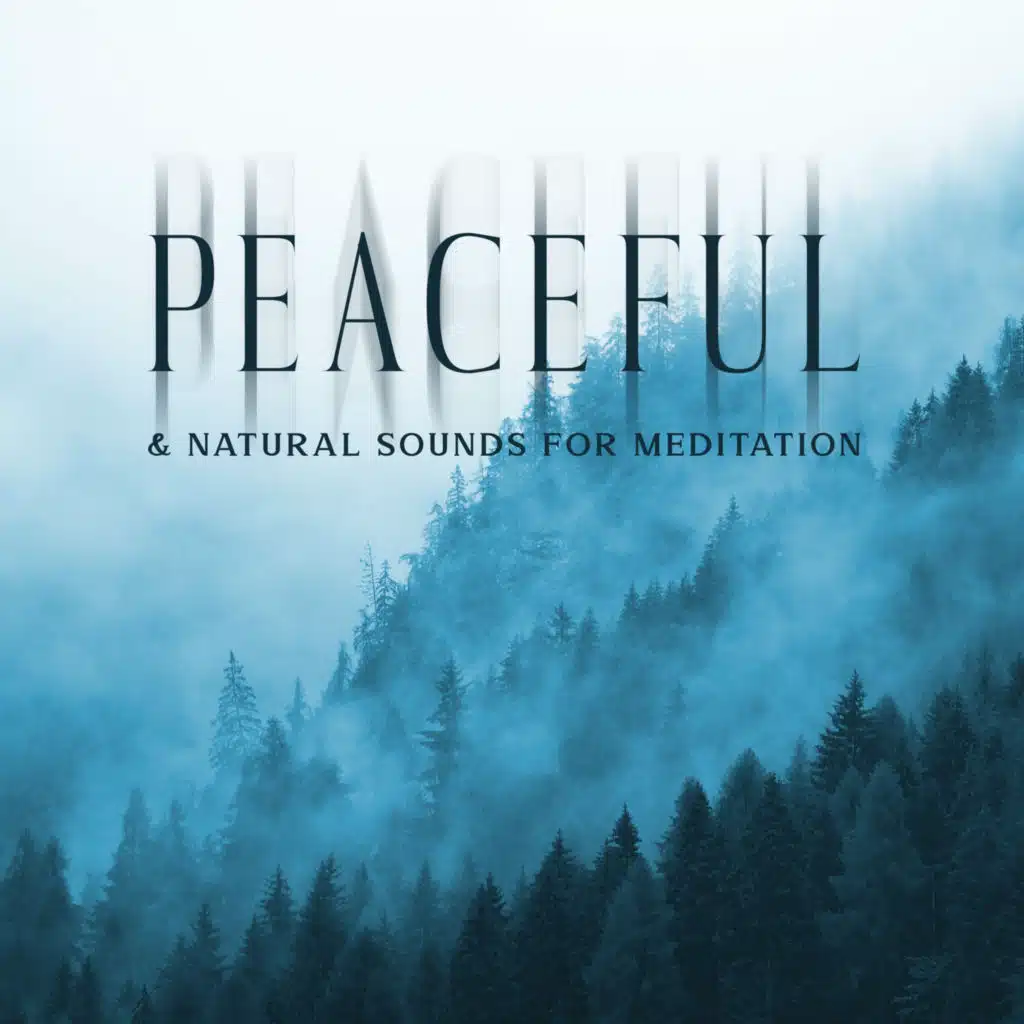 Night Winds - Ambient Reality