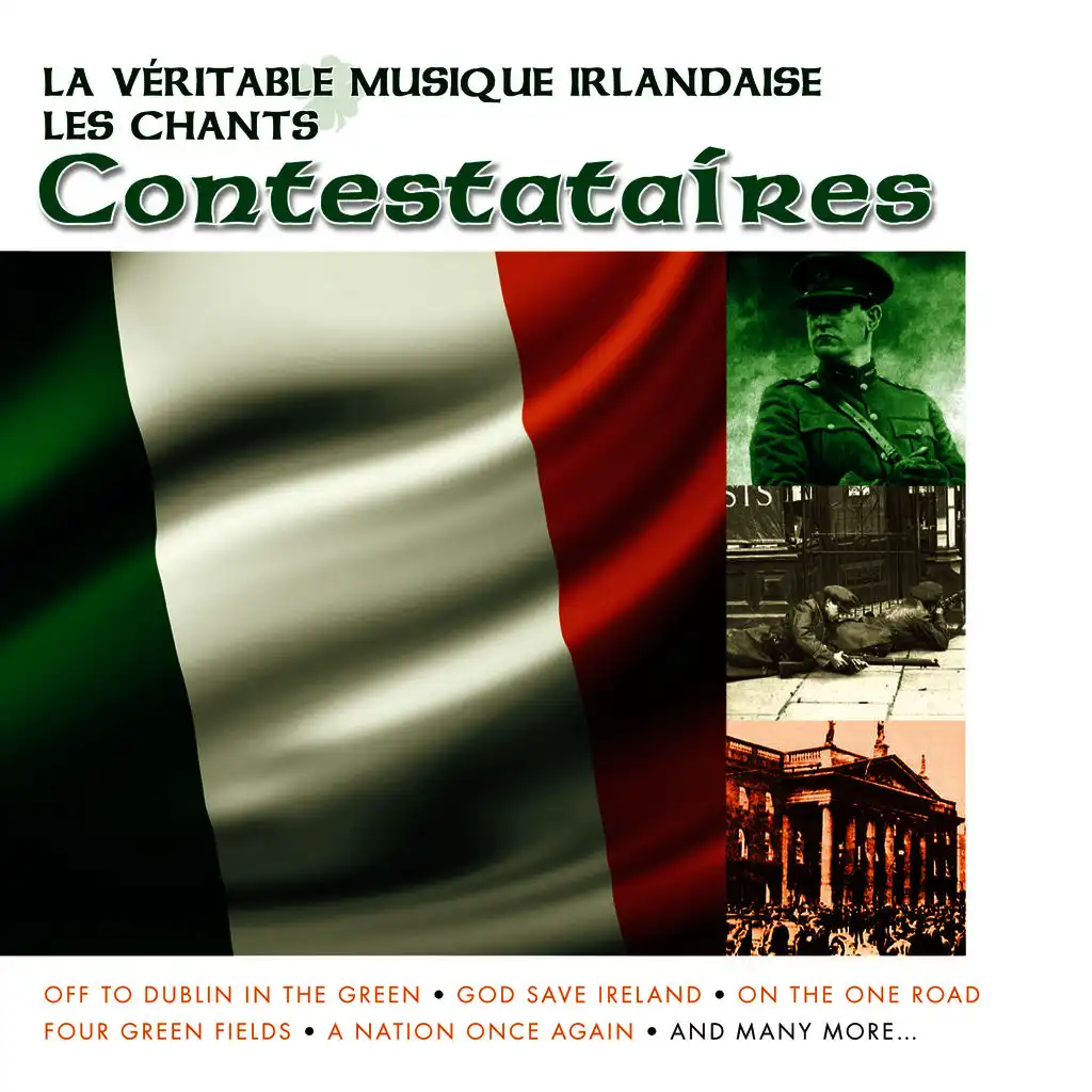 The Lid of Me Granny's Bin