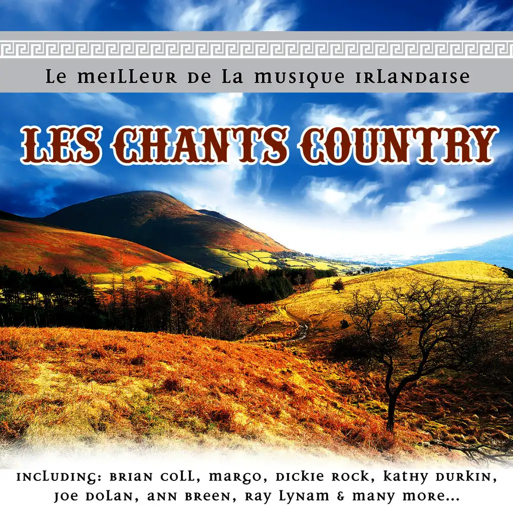 Le Meilleur de la Musique Irlandaise - Les Chants Country