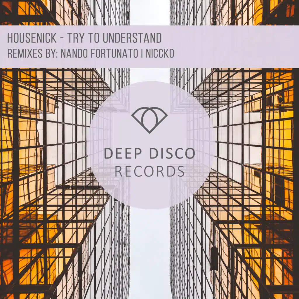 Try to Understand (NICCKO Remix)