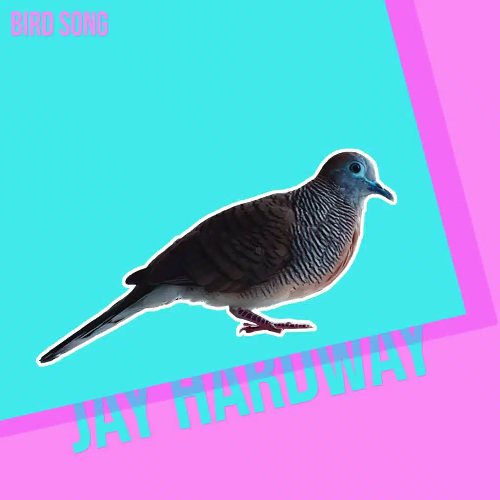 Bird Song