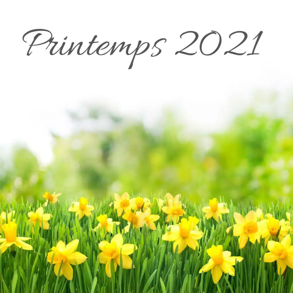 Printemps 2021: Matinée ensoleillée, Bonne humeur, Yoga et méditation, Les sons de la nature