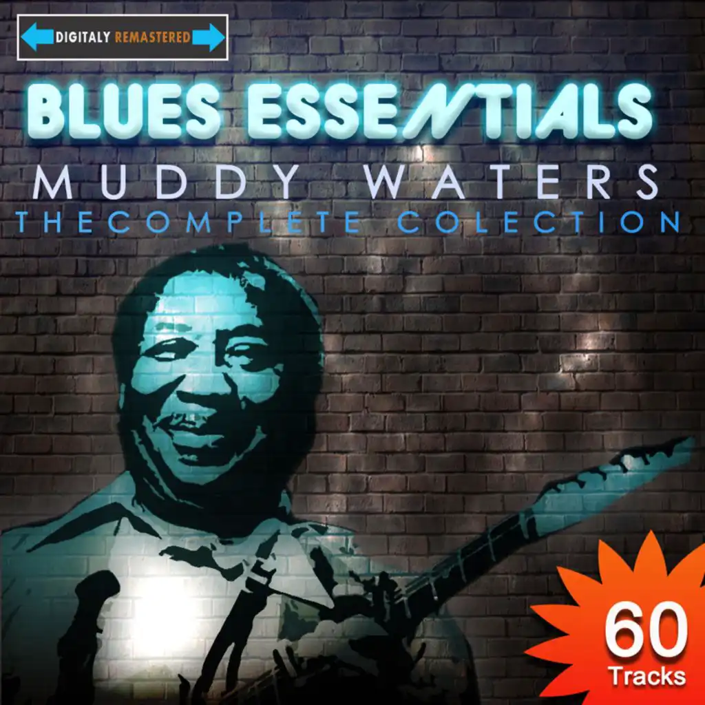 Blues Essentials - Muddy Waters the Complete Collection