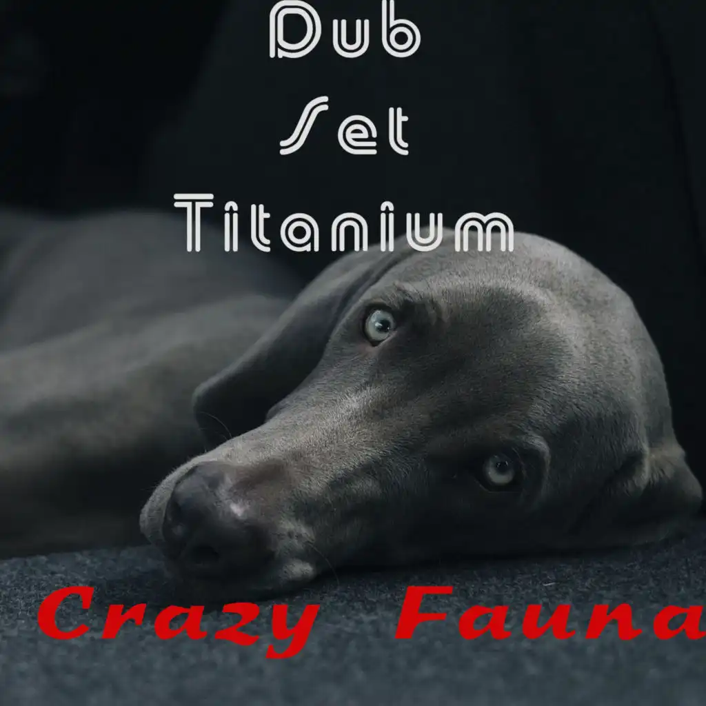 Dub Set Titanium