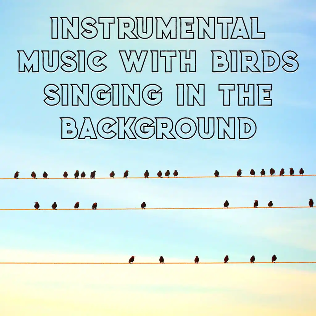 Instrumental Music with Birds Singing in the Background, Calm & Tranquility