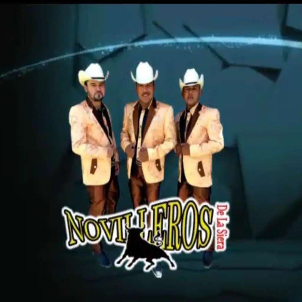 Novilleros de la Sierra 2015