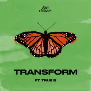 transform (feat. True B)