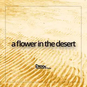 A flower in the desert