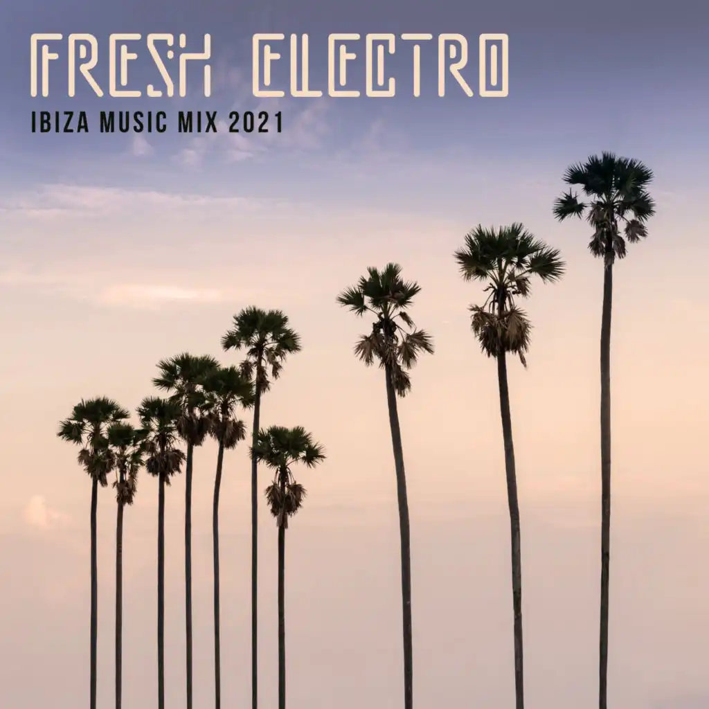 Fresh Electro Ibiza Music Mix 2021