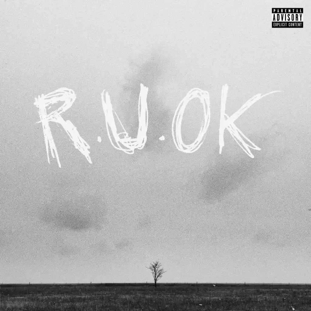R.U.OK Interlude (feat. Riley Barnes)