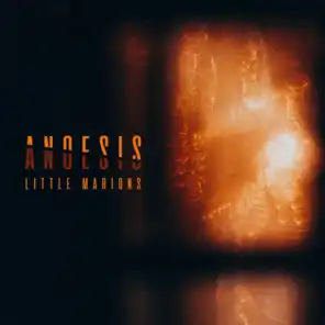 Anoesis
