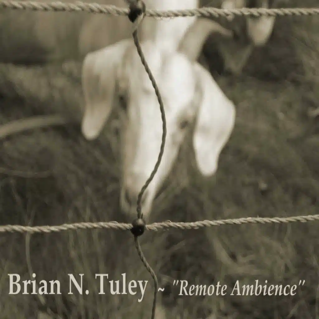 Brian Tuley