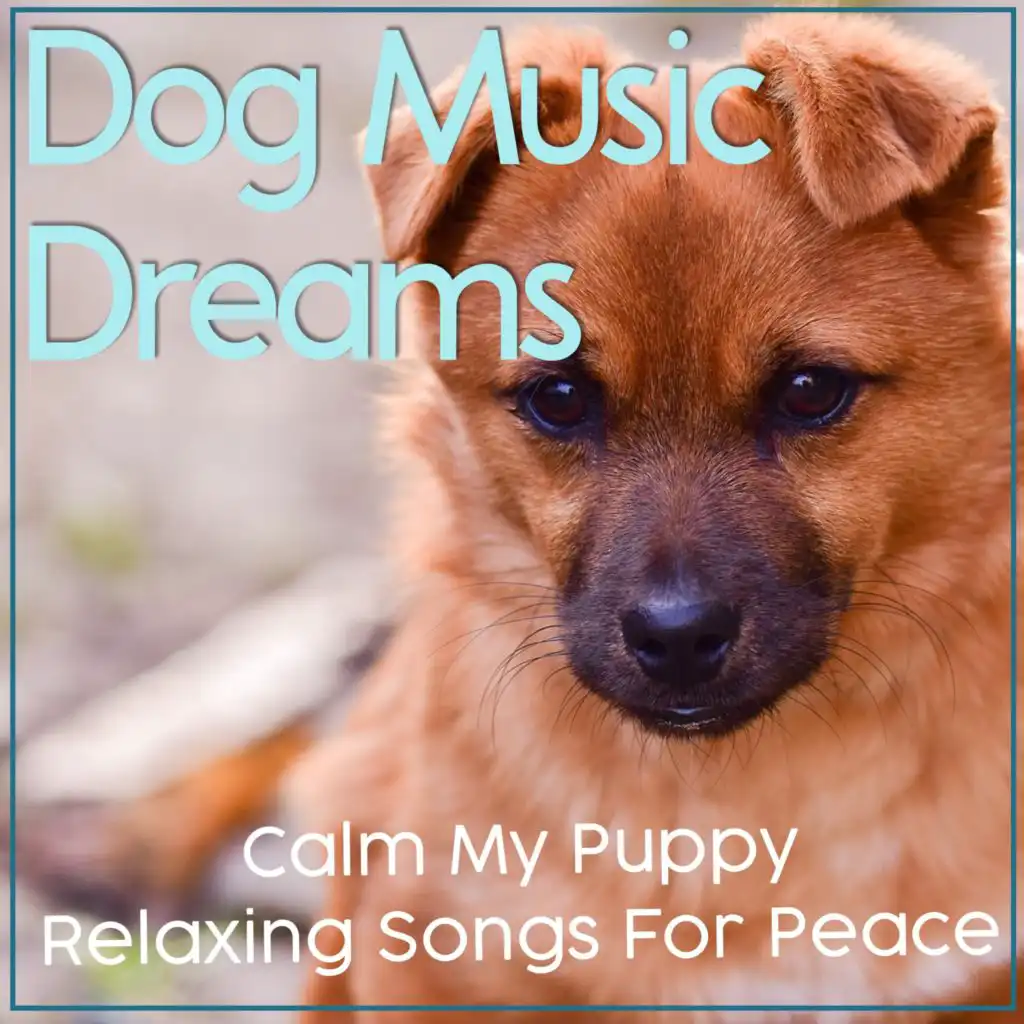Dog Music Dreams: Calm My Puppy Relaxing Songs For Peace