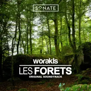 Les forêts (From "Sur le Front des Forêts Françaises")