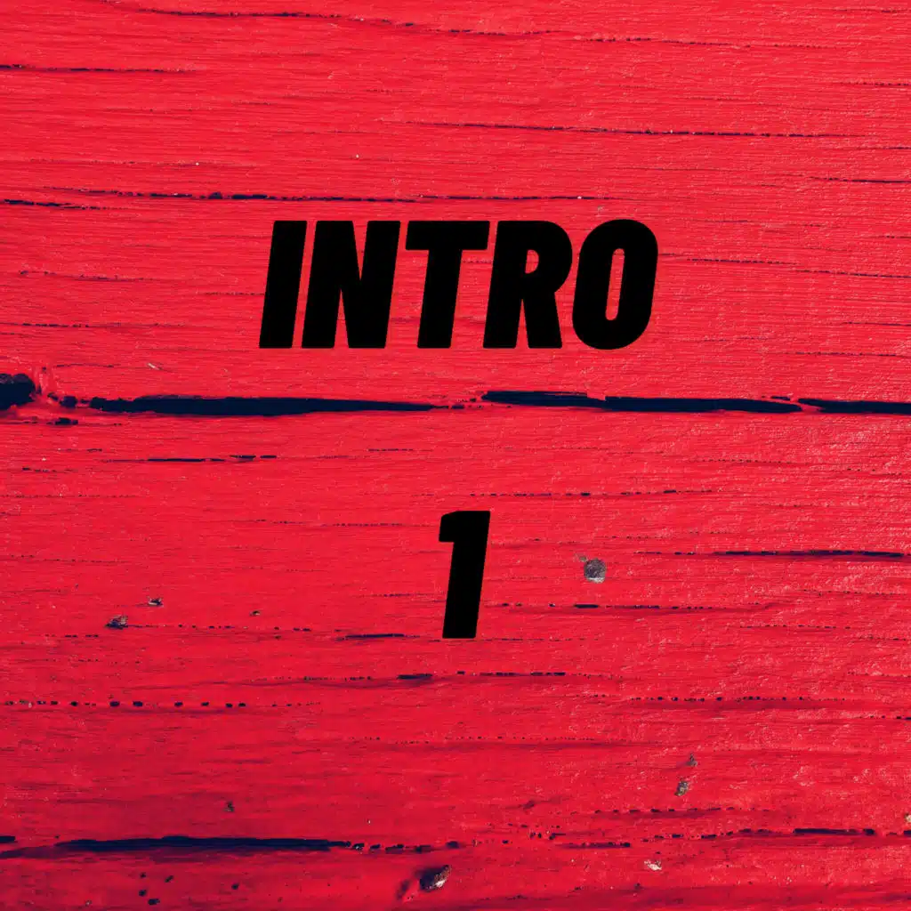 Intro 1