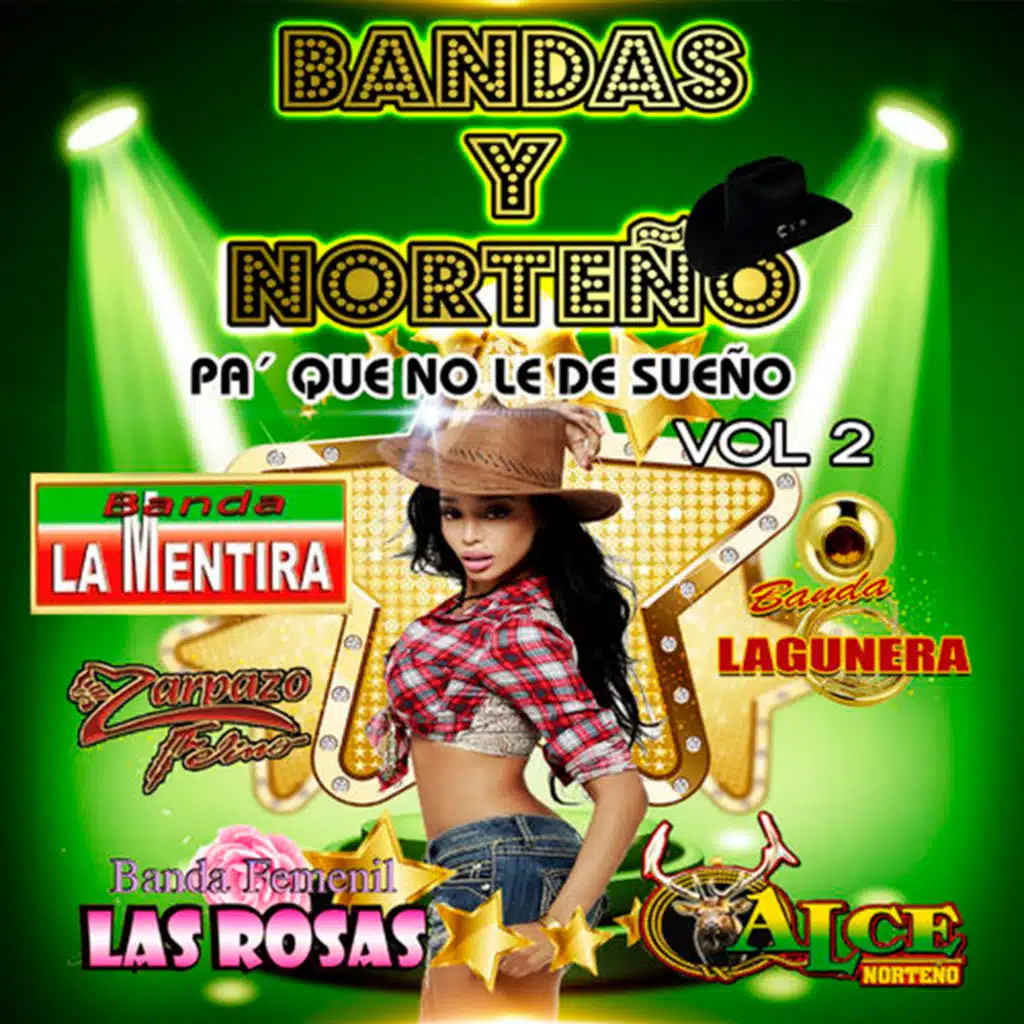 Bandas Y Norteño Vol 2