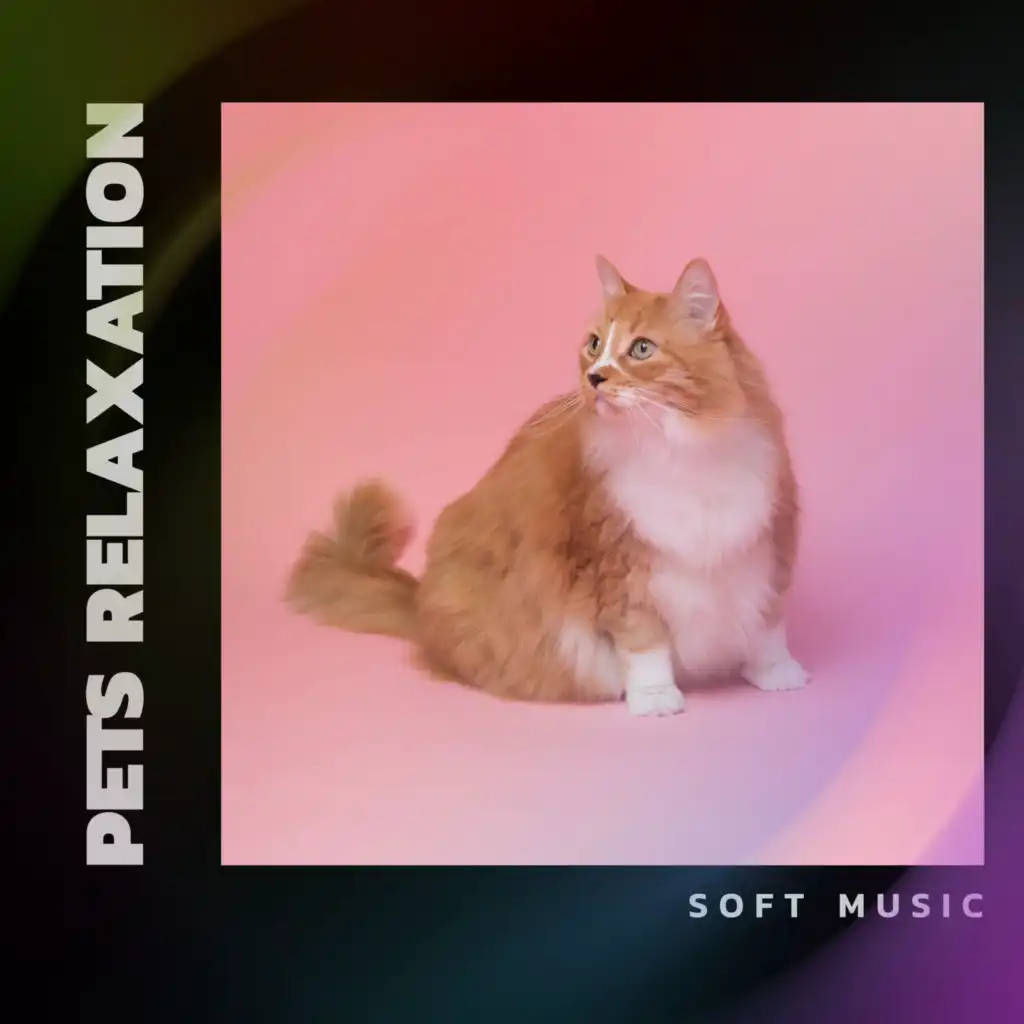 Pets Relaxation - Soft Music