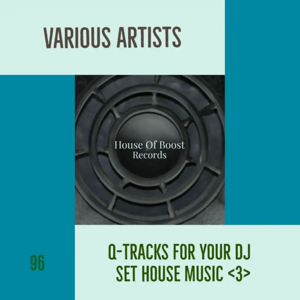 Q-TRACKS FOR YOUR DJ SET HOUSE MUSIC 3