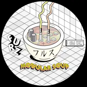 Modular Soup