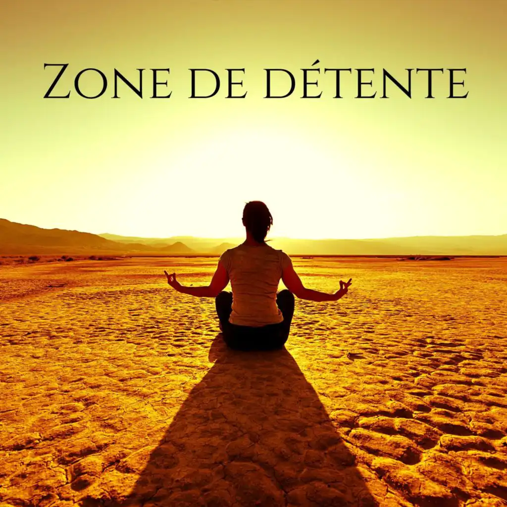 Buddhist méditation académie, Ensemble de Musique Zen Relaxante and Zone de la musique zen