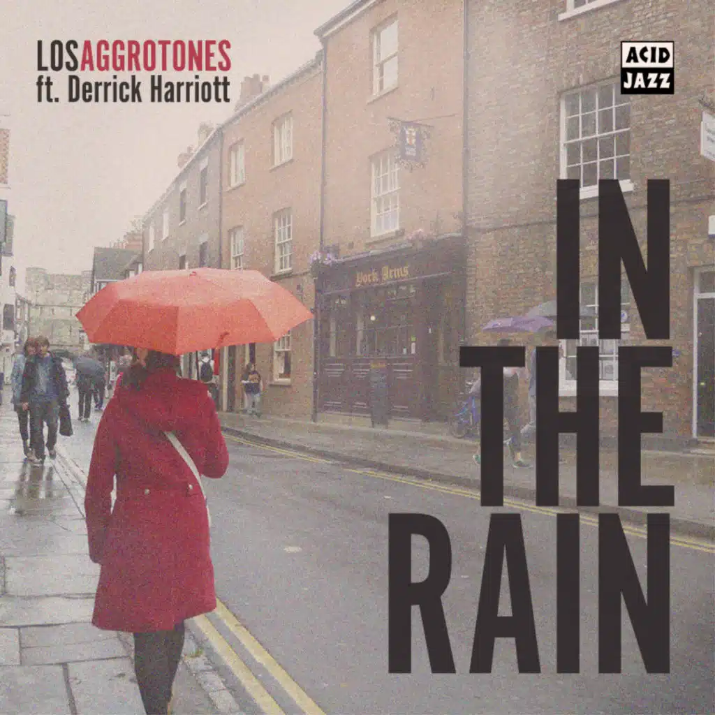 In The Rain (feat. Derrick Harriott)