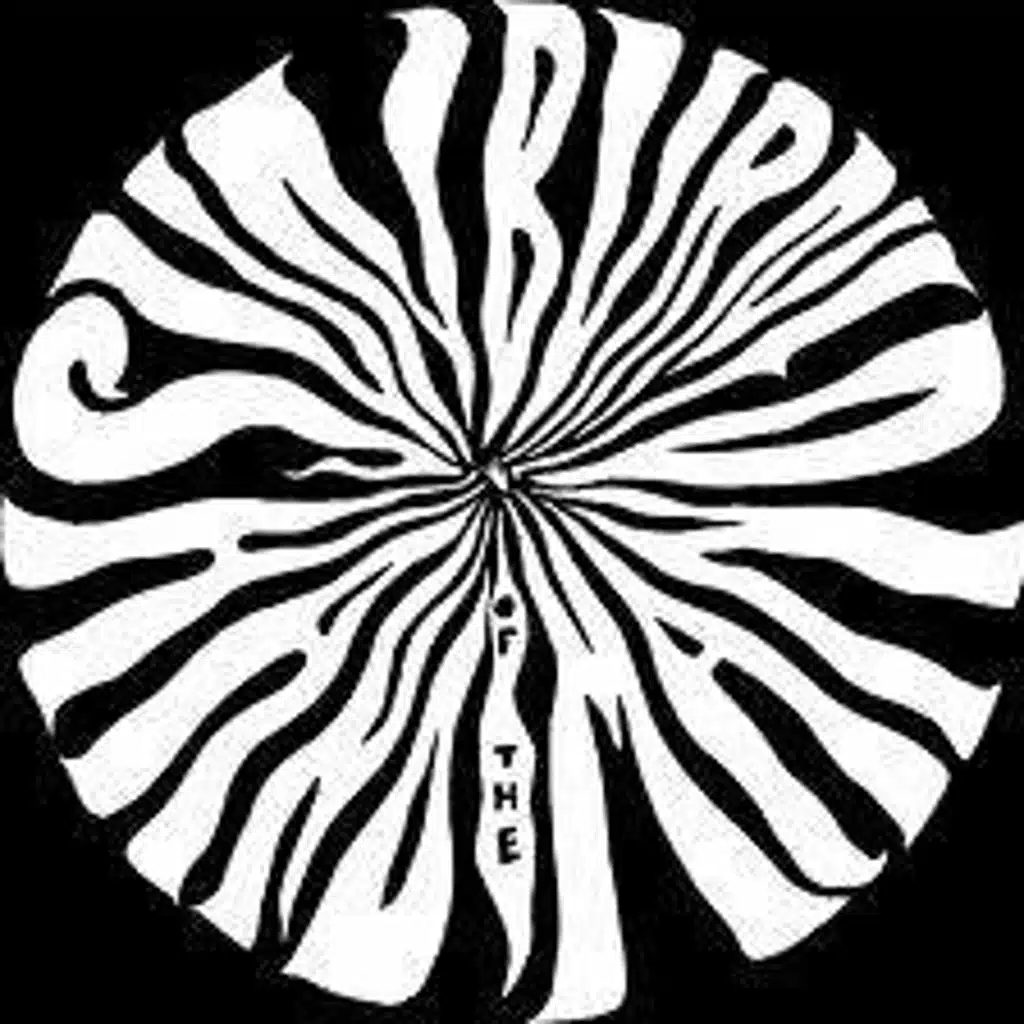 Sunburned Hand of the Man