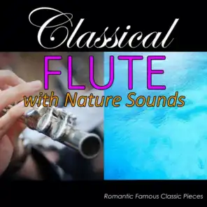 Flute Sonata in E-Flat Major, BVW 1031: II. Siciliano (With Ocean Sounds)