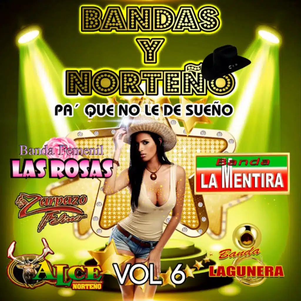 Bandas Y Norteño Vol.6