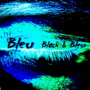 Black and Bleu Suite
