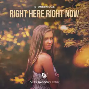 Right Here Right Now (Stonebridge & Damien Hall Mix) [feat. Haley]
