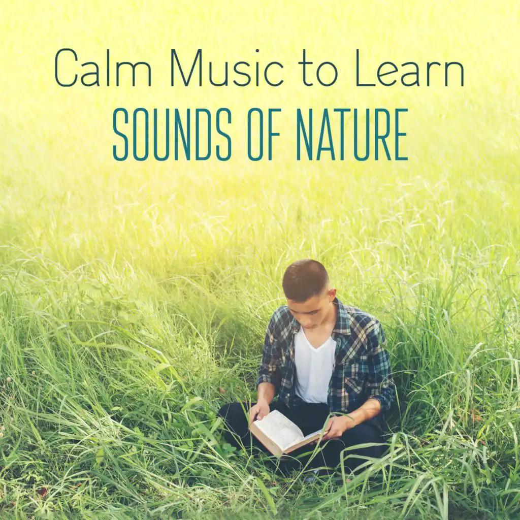 Calm Music to Learn with the Sounds of Nature. Study with Instrumental Music