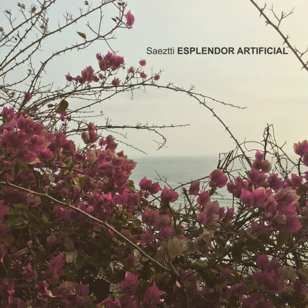 Esplendor Artificial (feat. CT)