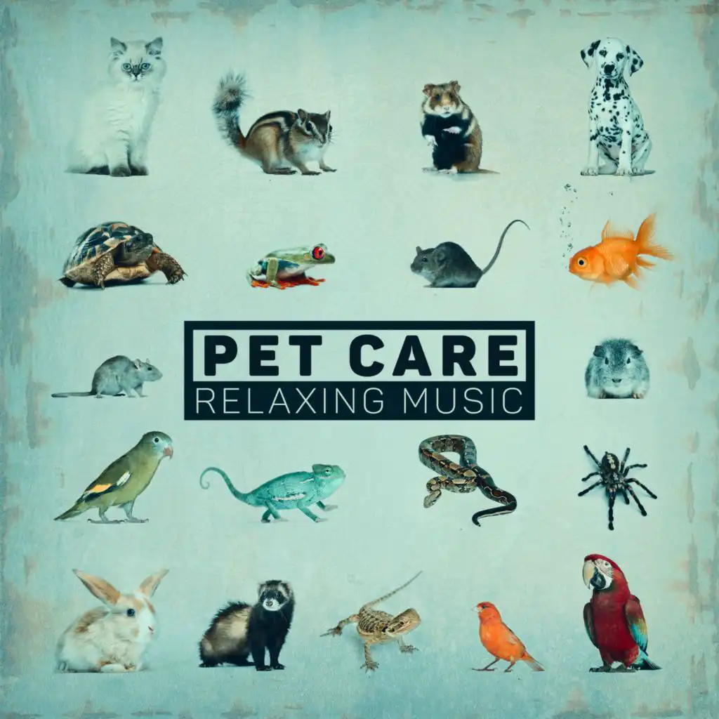 Pet Care (Relaxing Music for Dogs, Cats, Guinea Pigs, Mice, Lobsters and Other Animals)