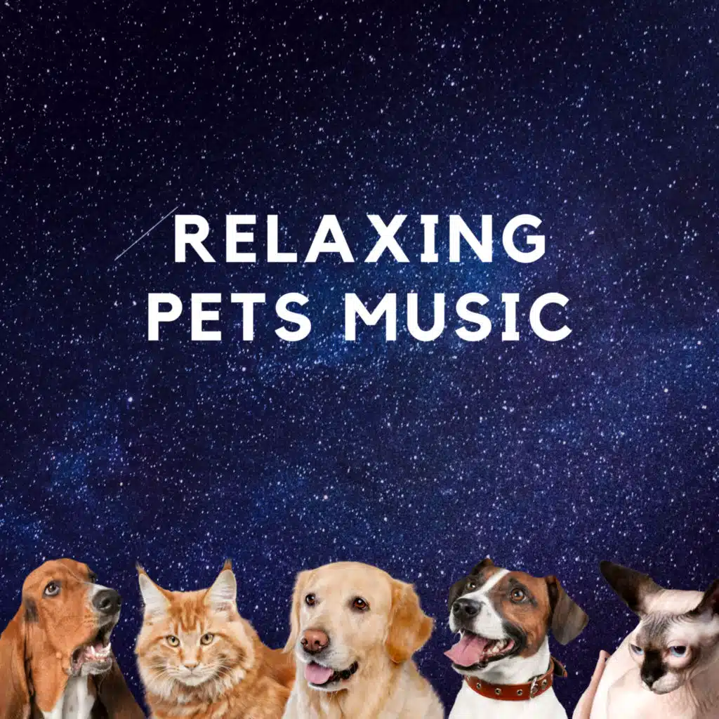 Relaxing Pets Music