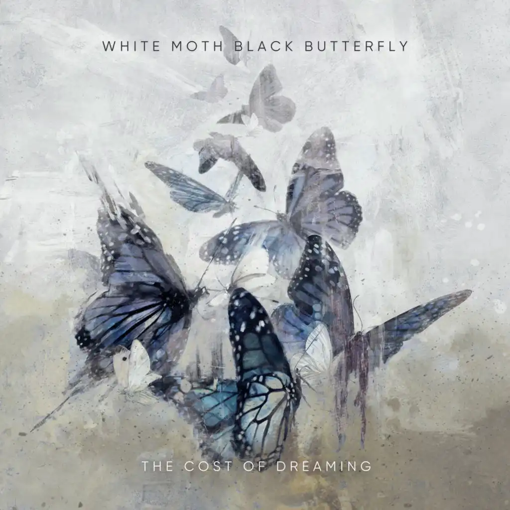 White Moth Black Butterfly