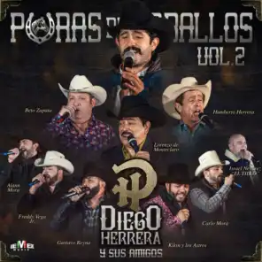 Diego Herrera y Sus Amigos - Puras de Caballos Vol. 2