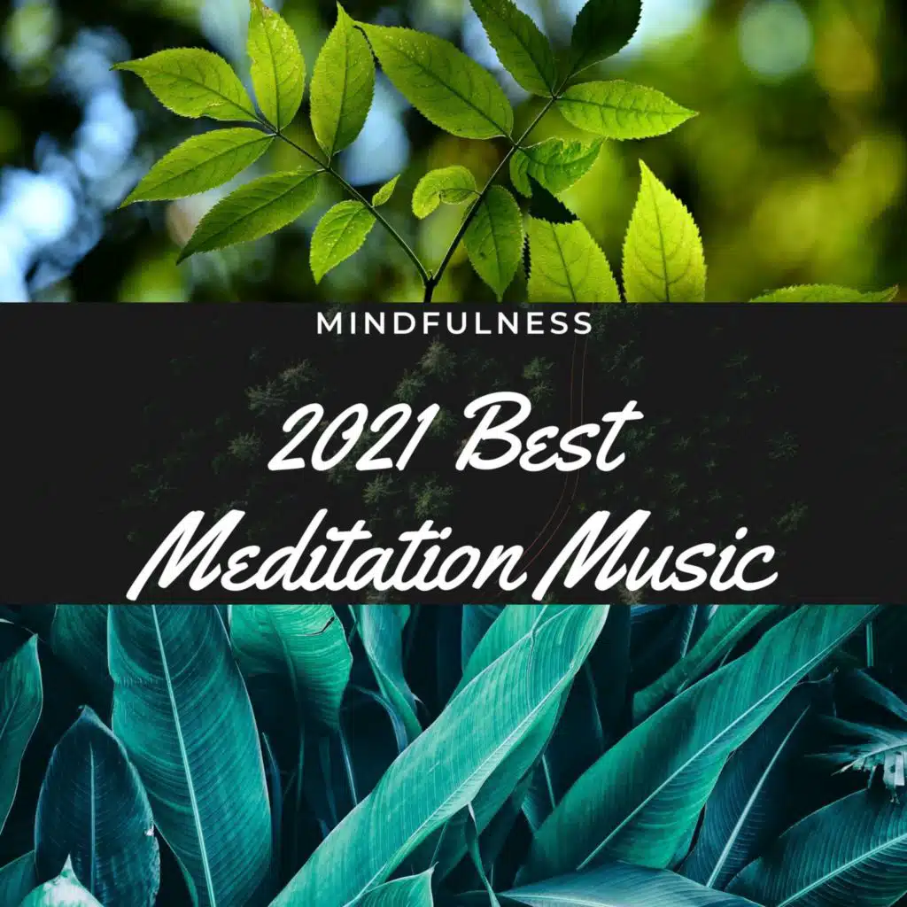 2021 Best Meditation Music for Mindfulness