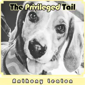 The Privileged Tail