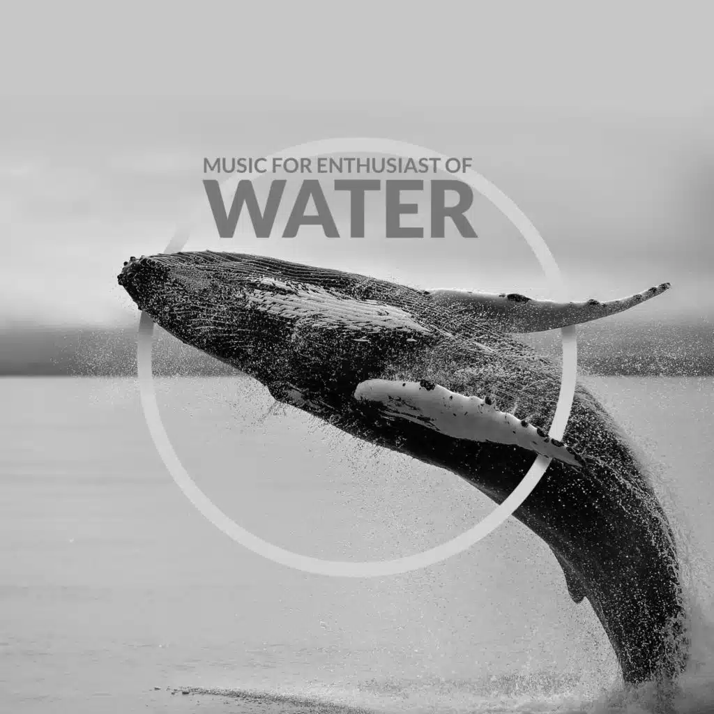 Music for Enthusiast of Water. Soothing Sounds of Waterfall, Waves, Rain