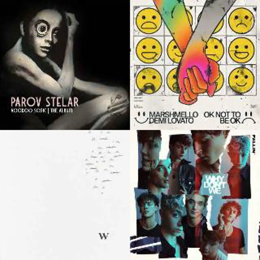 Terrier Fitness - Jammed