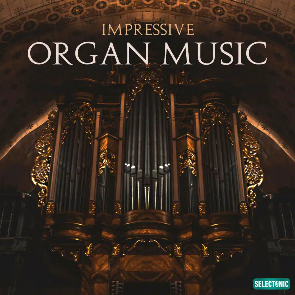 Verba Infamiam (Organum Solo)