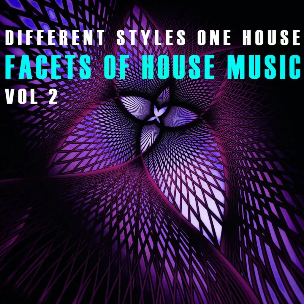 Facets of House Music - Vol.2