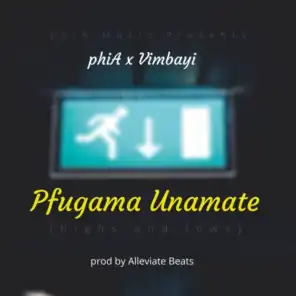 Pfugama Unamate (Highs and Lows)