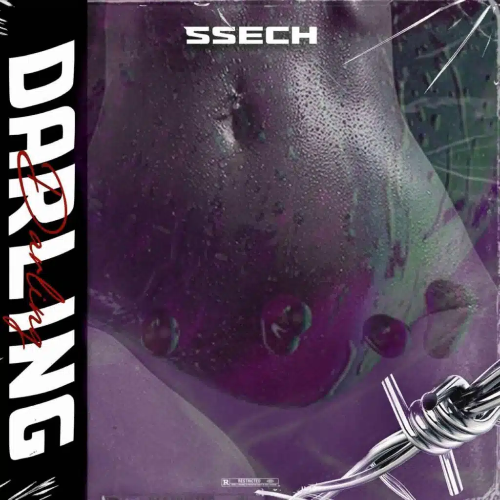 Ssech