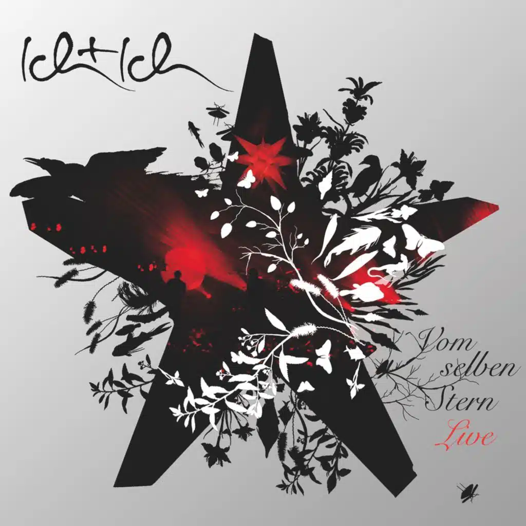 Mach dein Licht an (Live at Columbiahalle Berlin 03.02.2008)