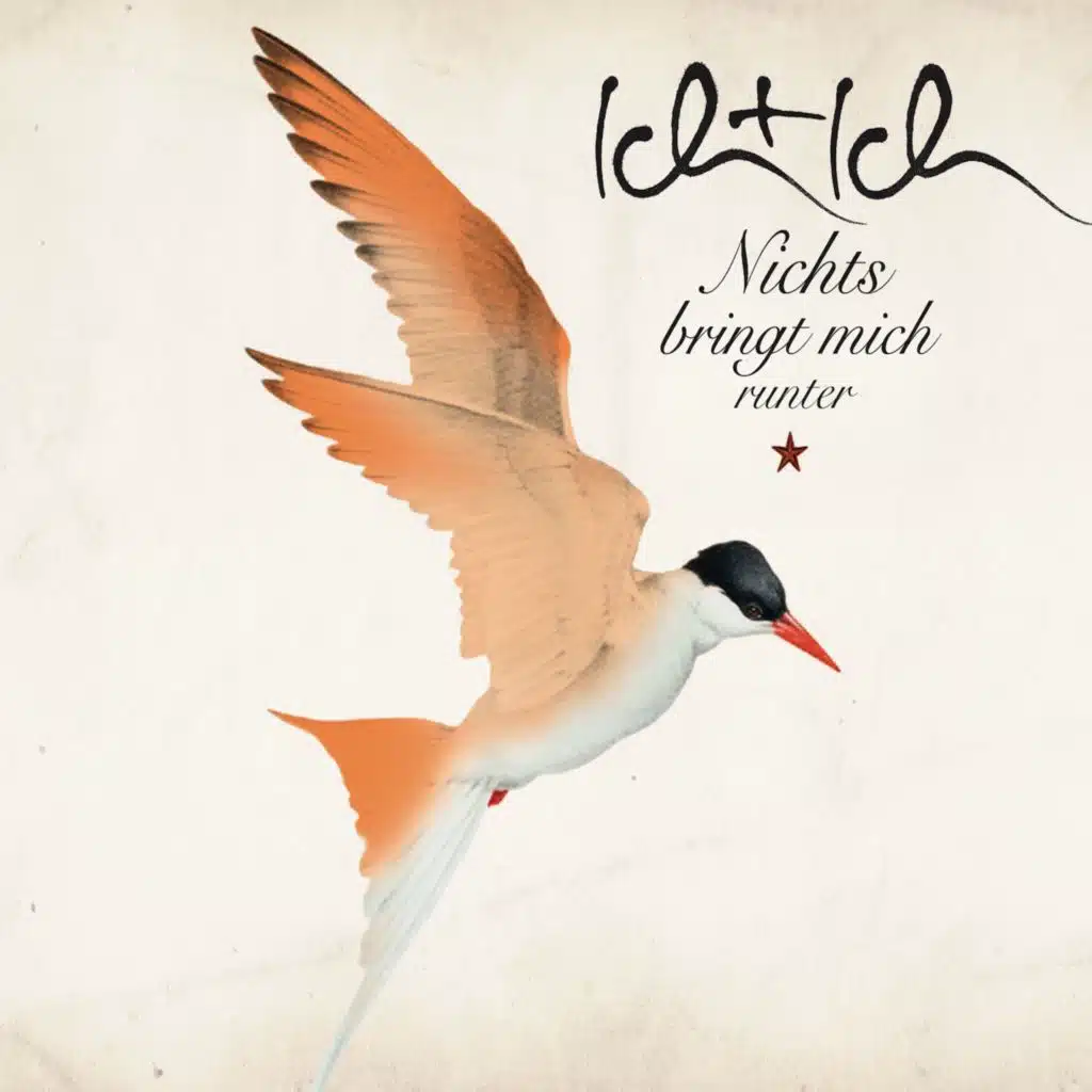 Nichts bringt mich runter (Single Edit)