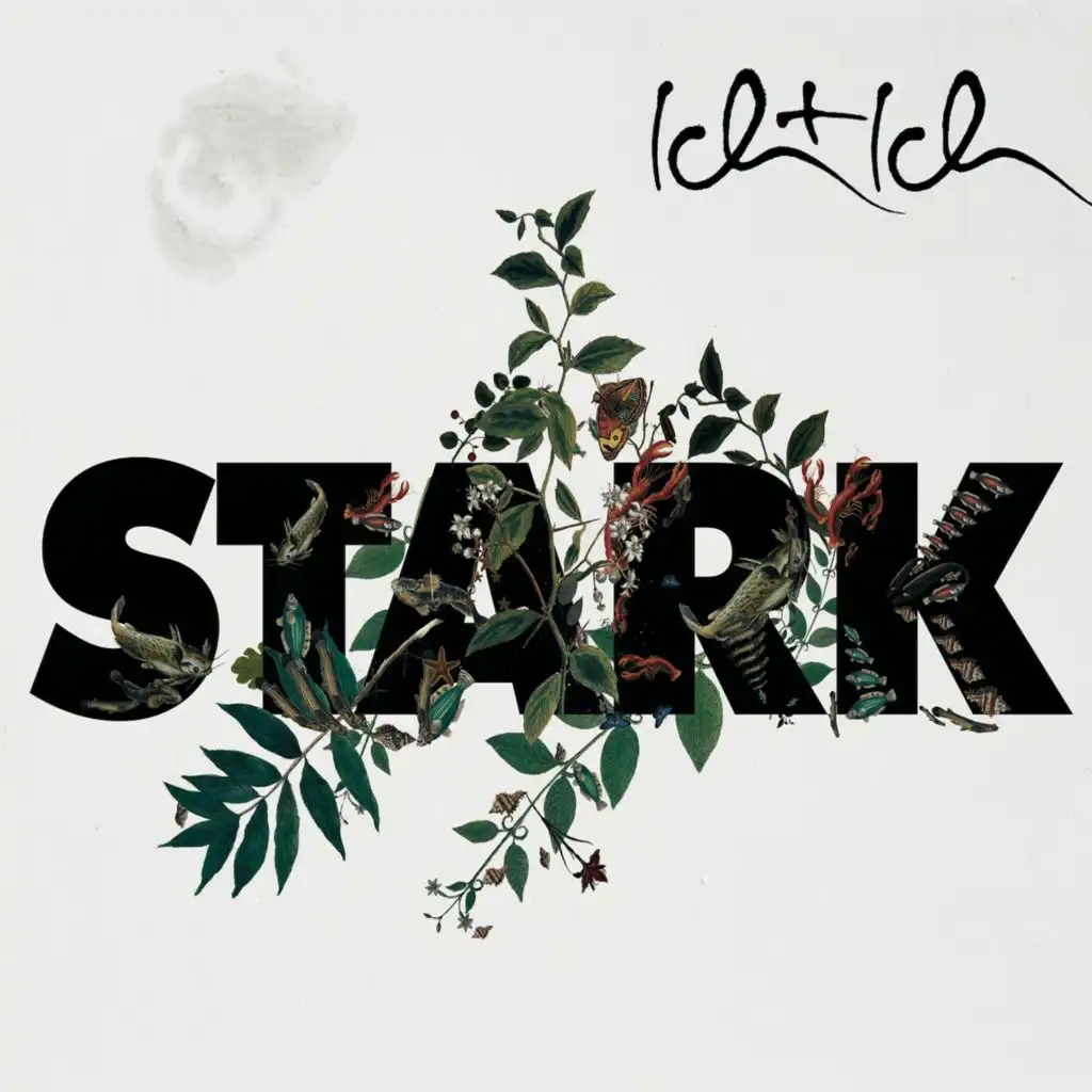Stark (K-Paul Remix)