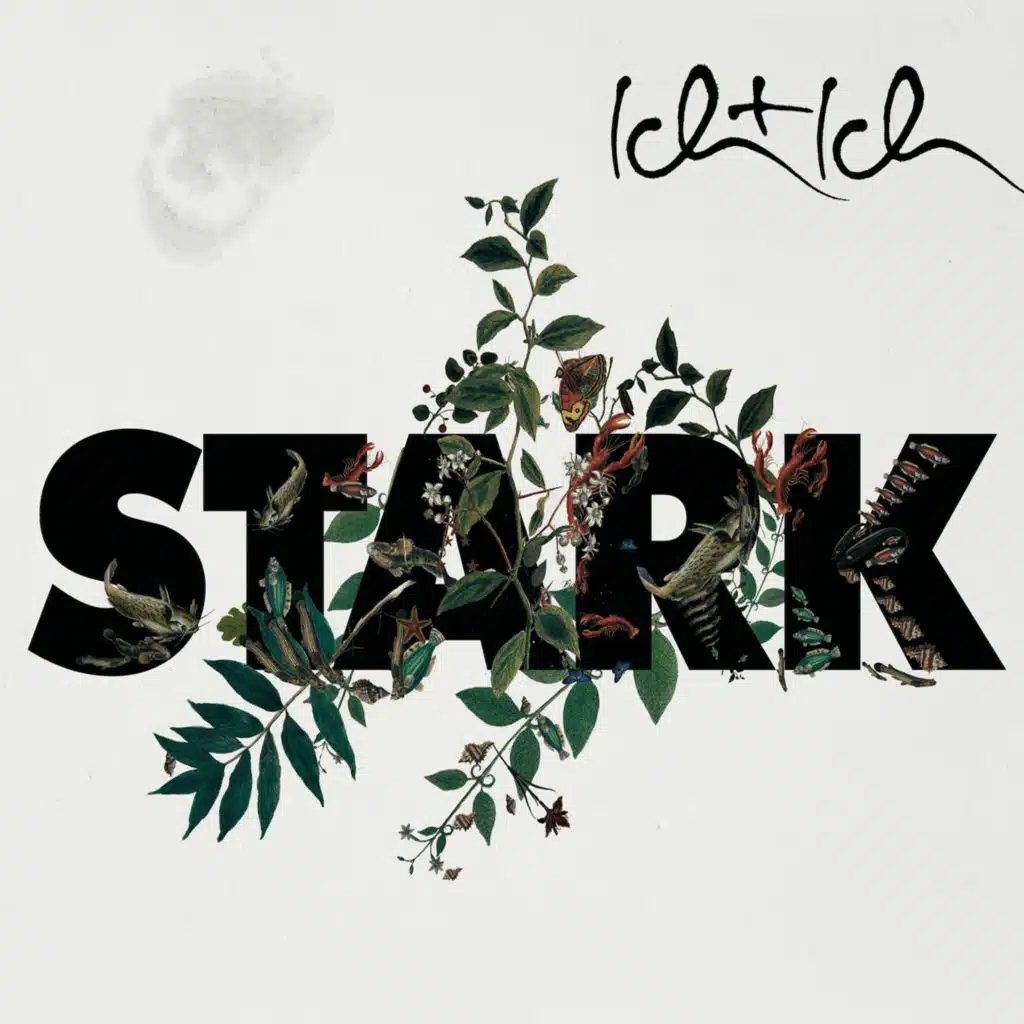 Stark (DJ Maringo Remix)